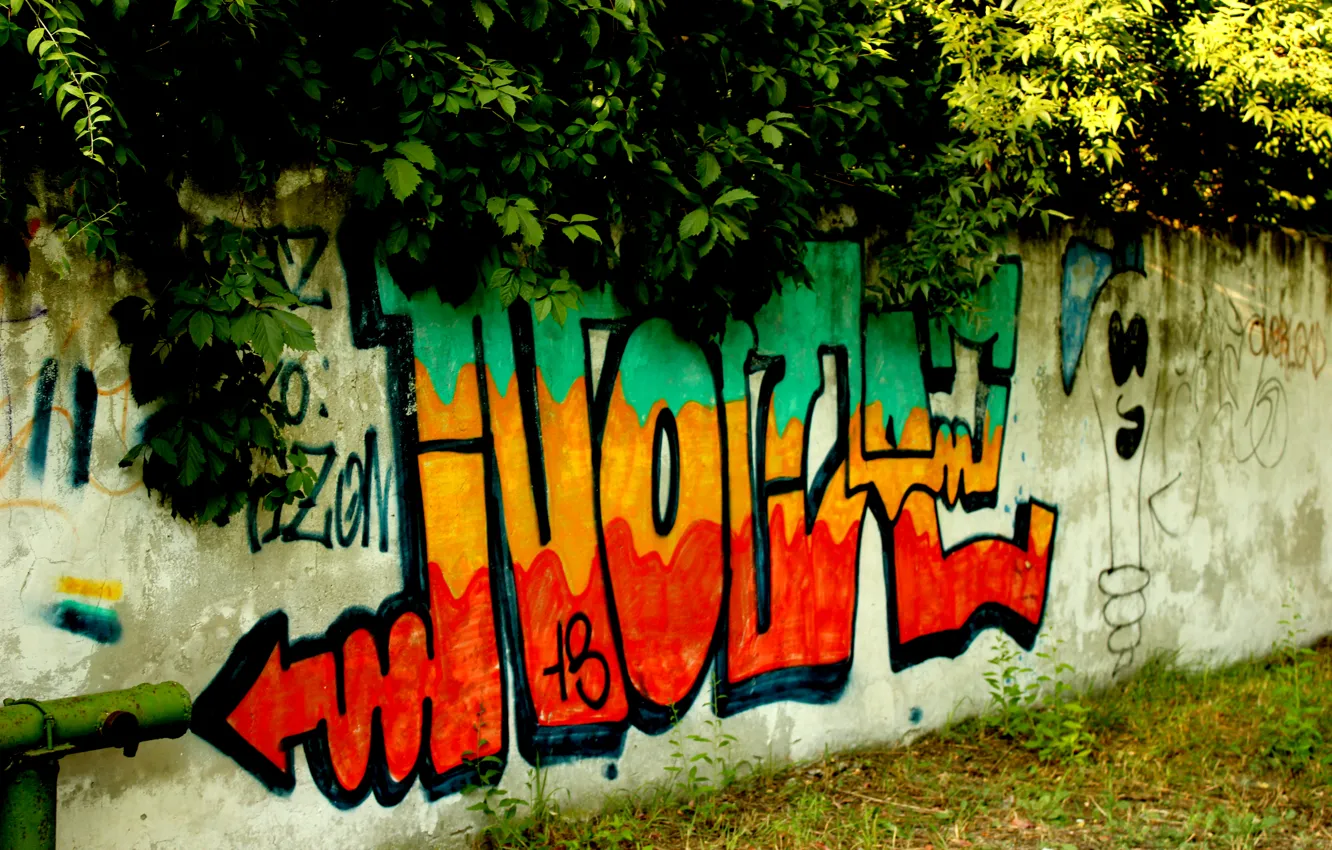 Photo wallpaper greens, wall, the inscription, paint, Graffiti
