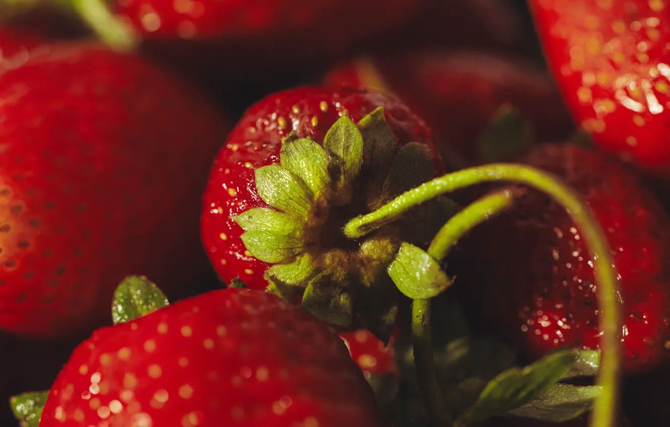 Photo wallpaper macro, berries, strawberry, red, bokeh