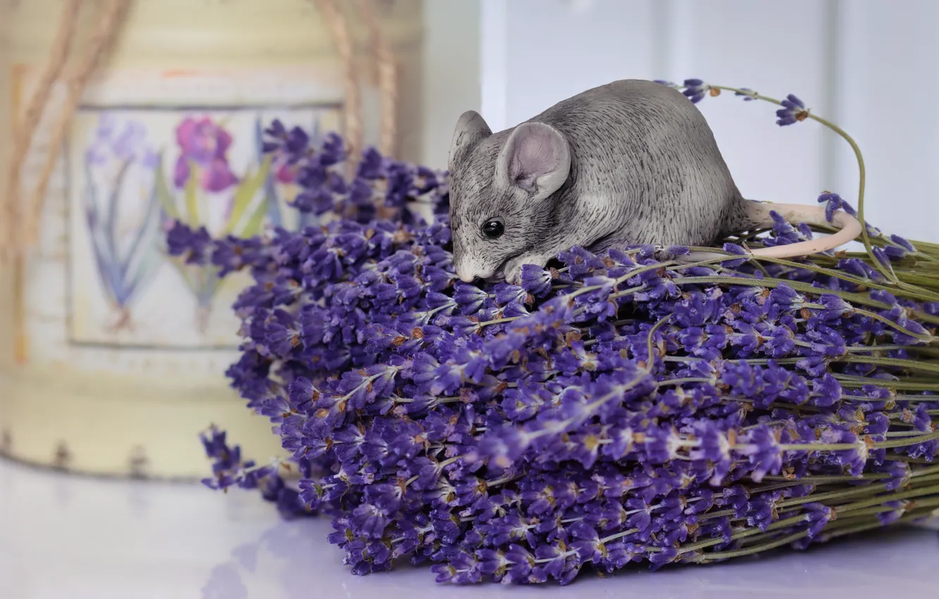 Photo wallpaper toy, mouse, mouse, rat, lavender