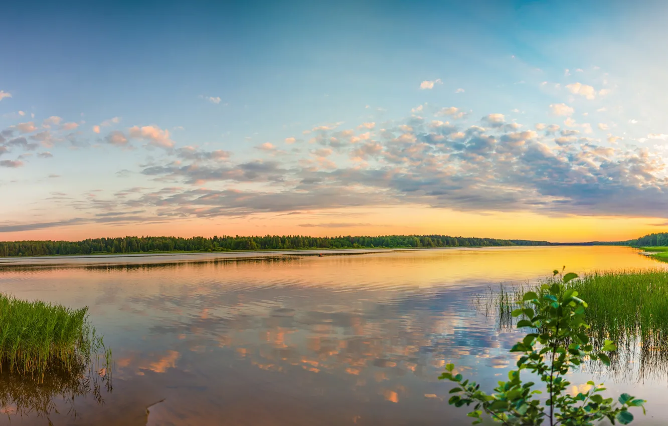 Photo wallpaper sand, wave, forest, summer, the sky, grass, water, the sun