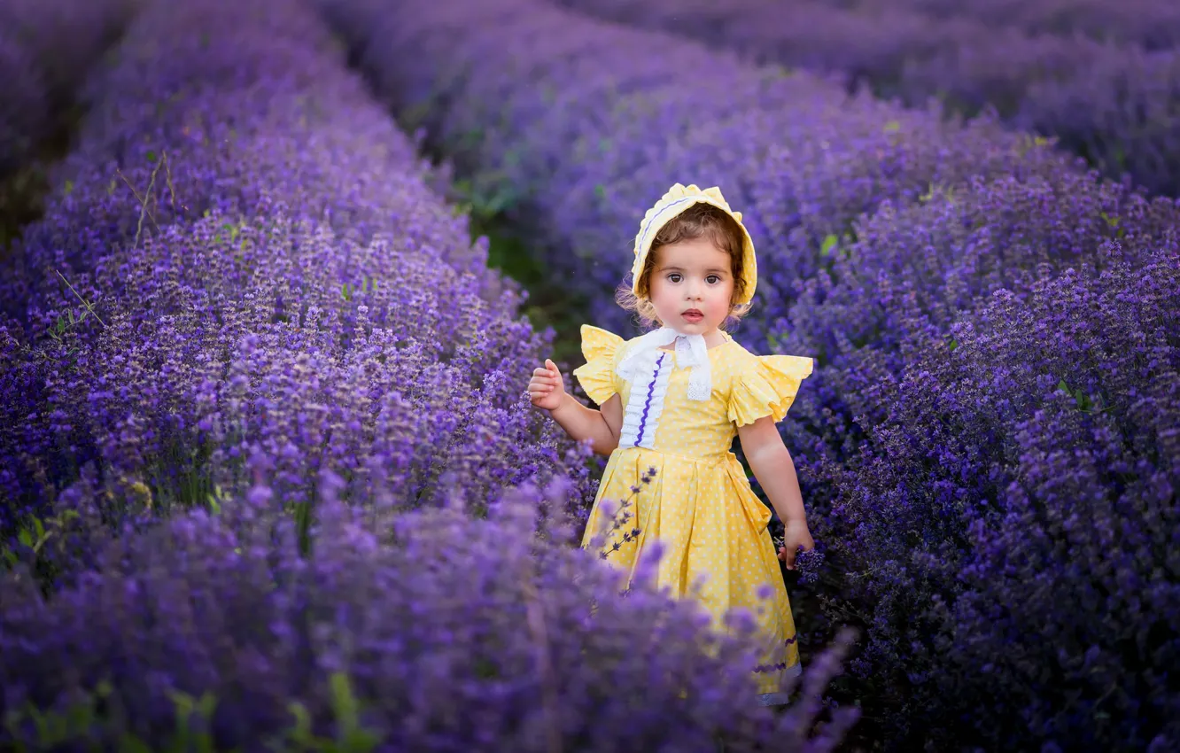 Photo wallpaper field, flowers, smile, baby, lavender, photo session