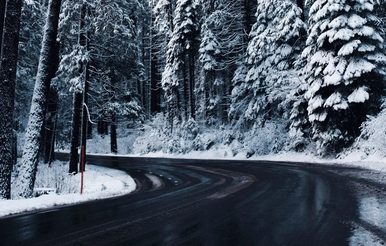 Photo wallpaper winter, road, forest, asphalt, snow, trees, landscape, nature