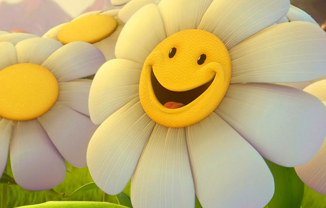 Photo wallpaper flower, smile, Daisy