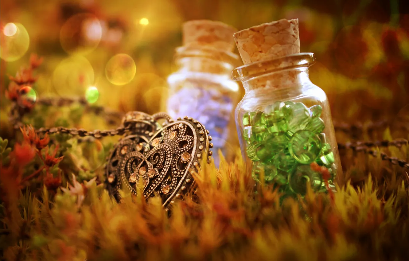 Photo wallpaper grass, pendant, buttons, bottle, bokeh