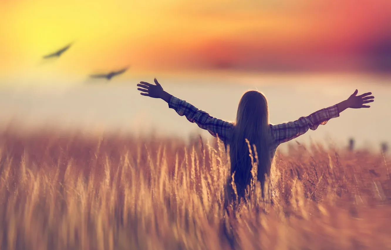 Photo wallpaper field, freedom, bird, girl
