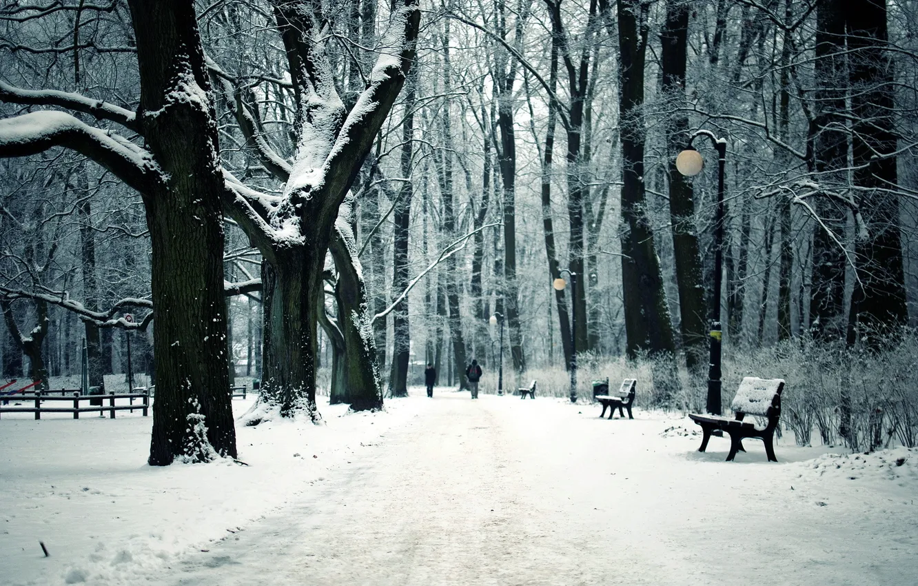 Photo wallpaper winter, the city, Park, bench