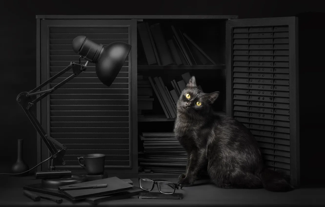 Photo wallpaper cat, eyes, cat, look, light, background, black, lamp