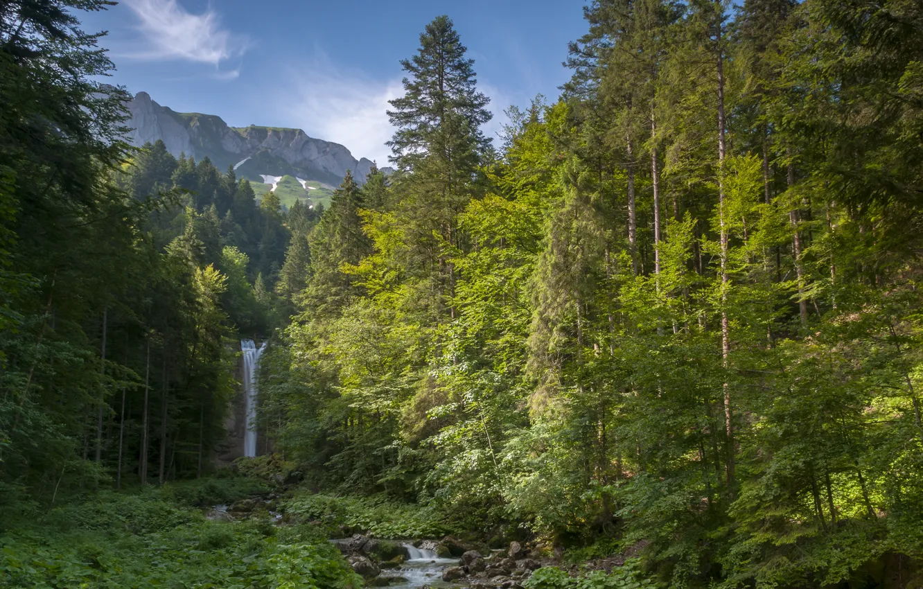 Photo wallpaper the sky, grass, clouds, trees, mountains, stones, Alps, waterfall Leuenfal