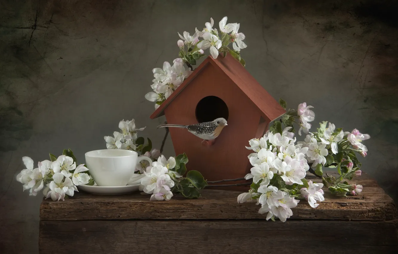 Photo wallpaper Cup, birdhouse, bird, still life, Apple