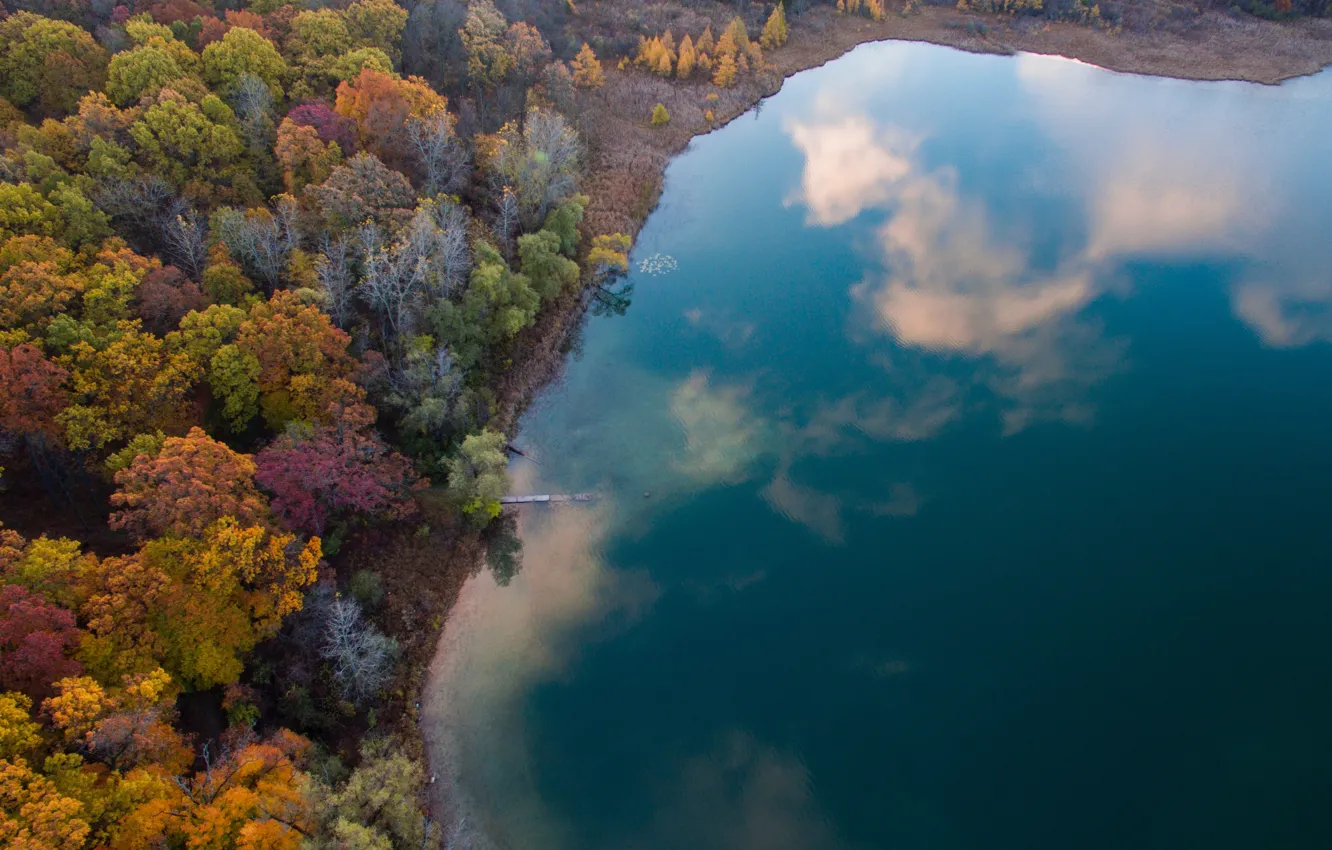 Photo wallpaper autumn, forest, lake, the