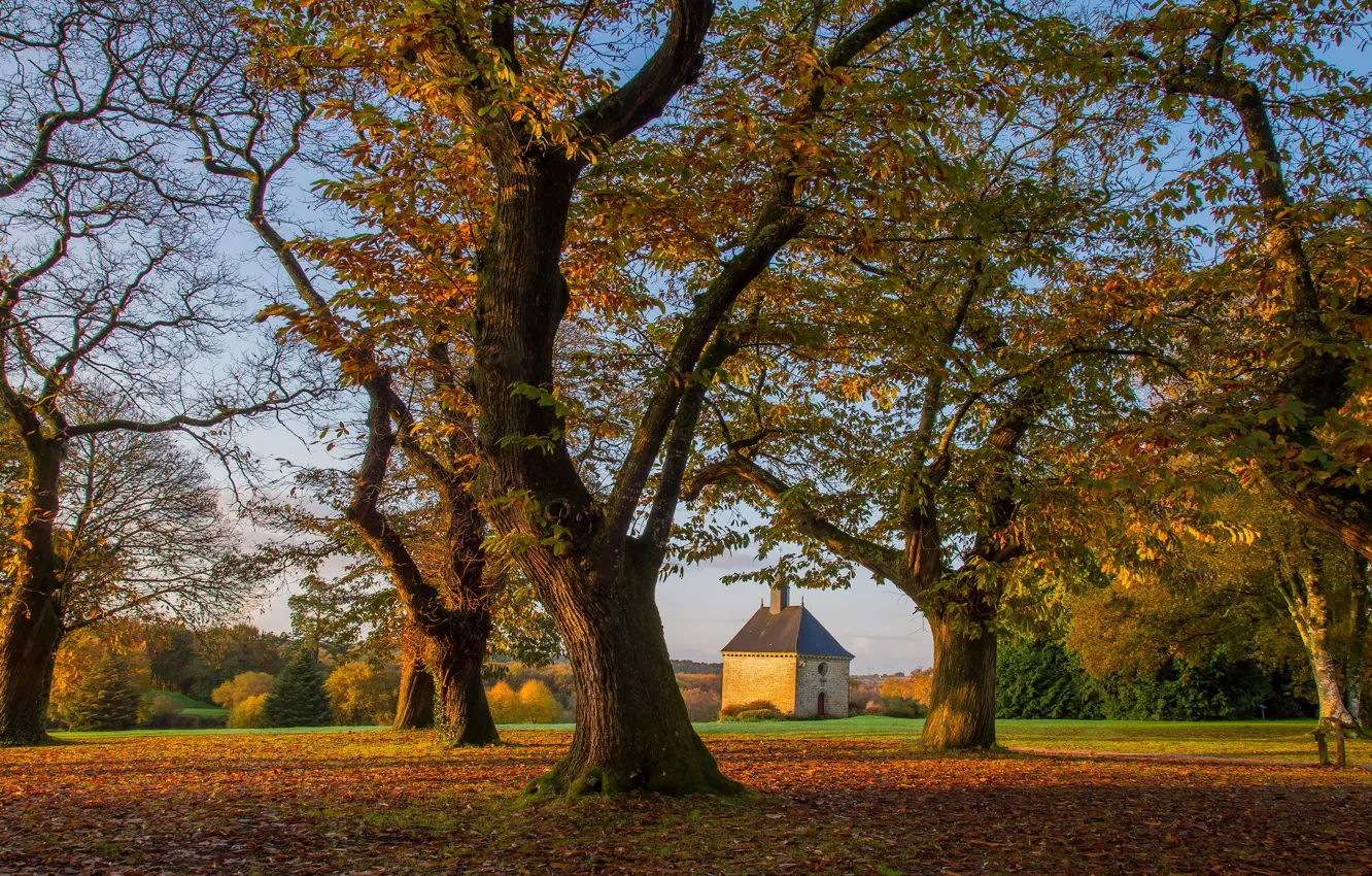 Photo wallpaper autumn, forest, Park, chapel, Church