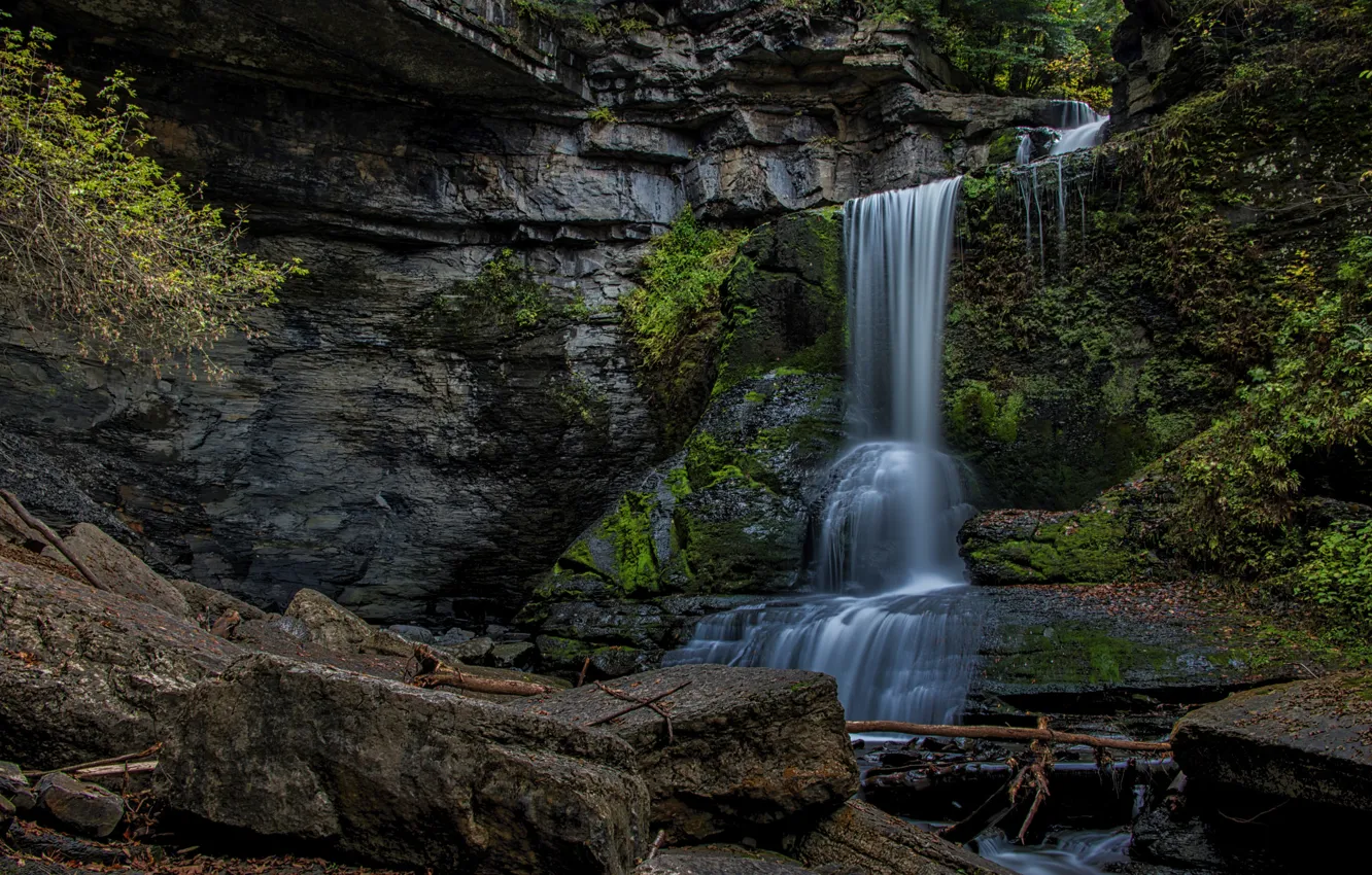 Photo wallpaper Park, rocks, vegetation, waterfall, cascade