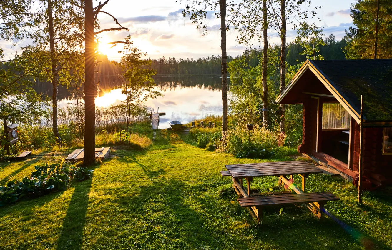 Photo wallpaper forest, the sky, grass, the sun, clouds, trees, landscape, sunset