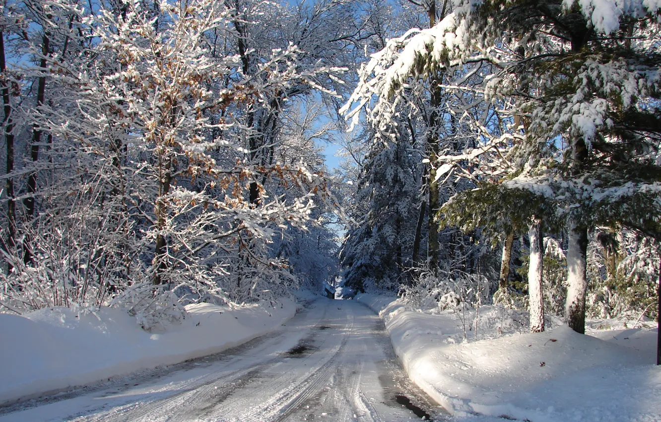 Photo wallpaper winter, road, forest, snow, frost, Wisconsin, USA, USA