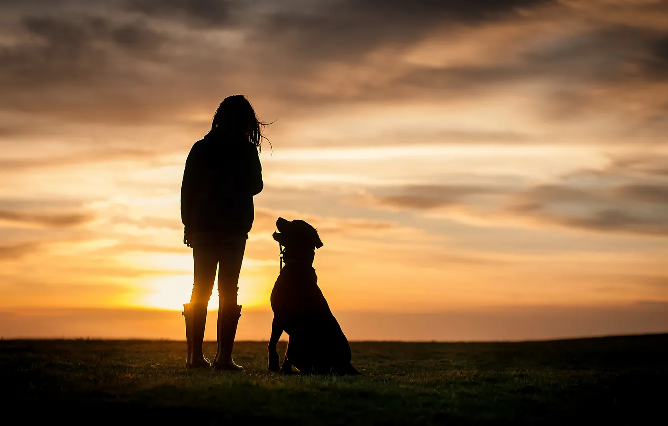 Photo wallpaper sunset, dog, girl