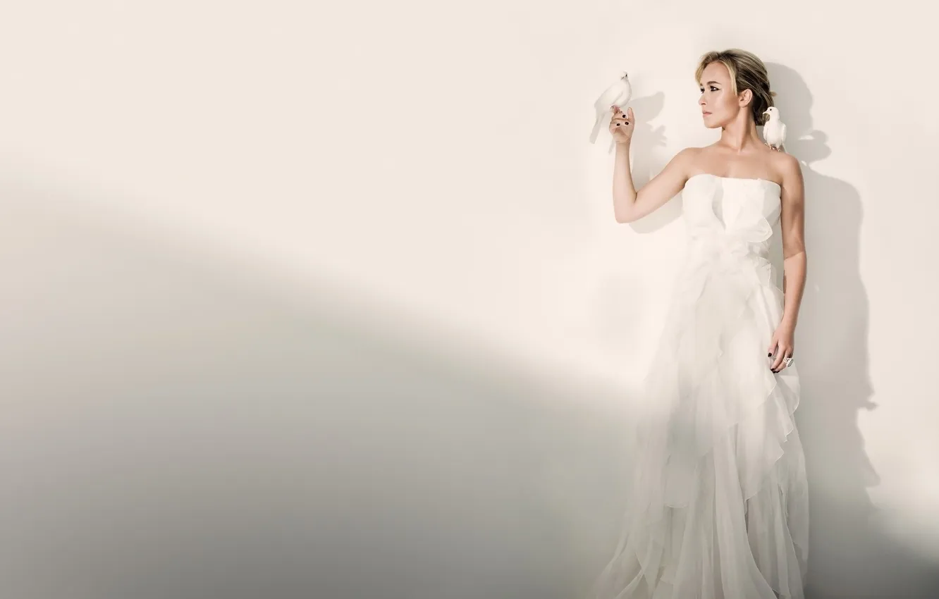 Photo wallpaper actress, Hayden Panettiere, pigeons, Hayden Panettiere, light background