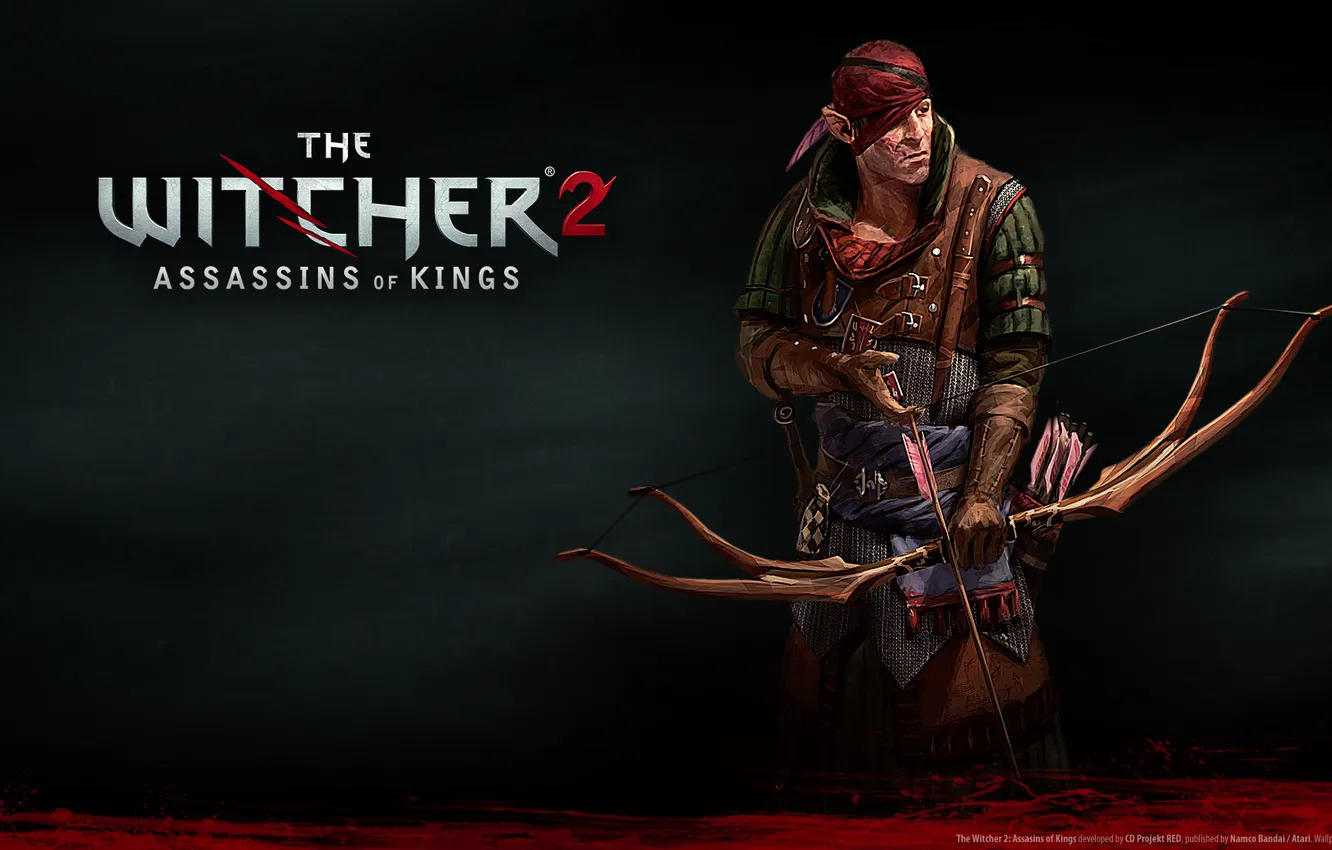 Photo wallpaper the game, rpg, the witcher 2, game of the year, the witcher 2 assassins of …