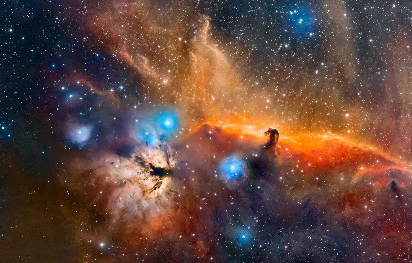 Photo wallpaper space, stars, The Horse Head nebula in the constellation Orion