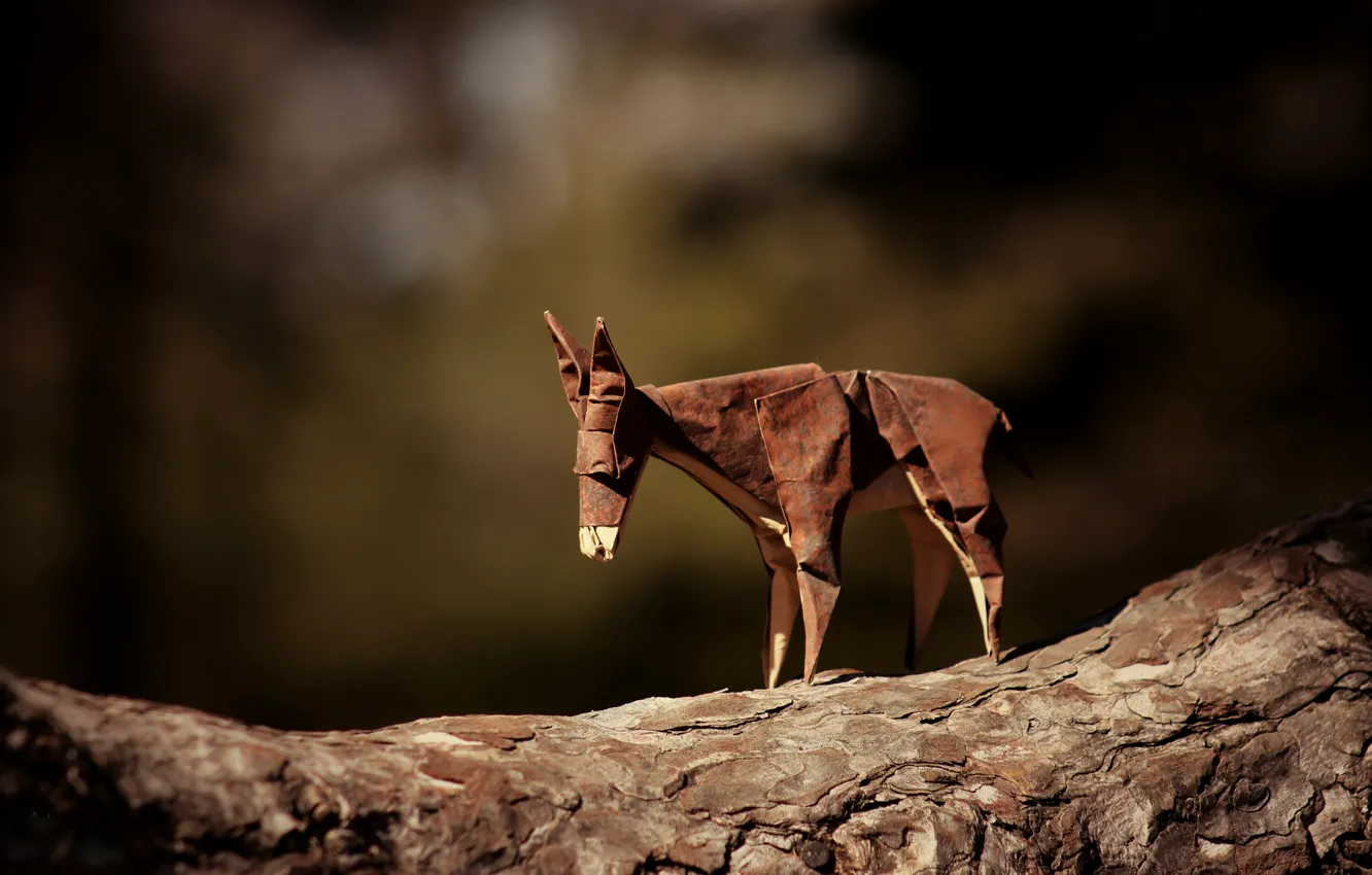 Photo wallpaper branch, brown, origami, donkey, journey donkey, brown donkey
