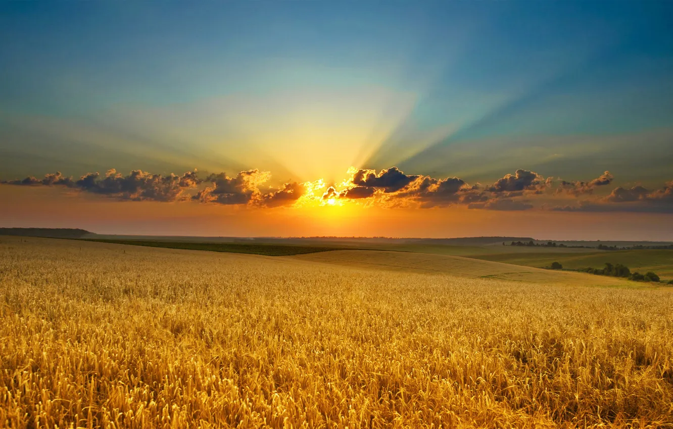Photo wallpaper field, the sky, clouds, landscape, sunset, nature, horizon, glow