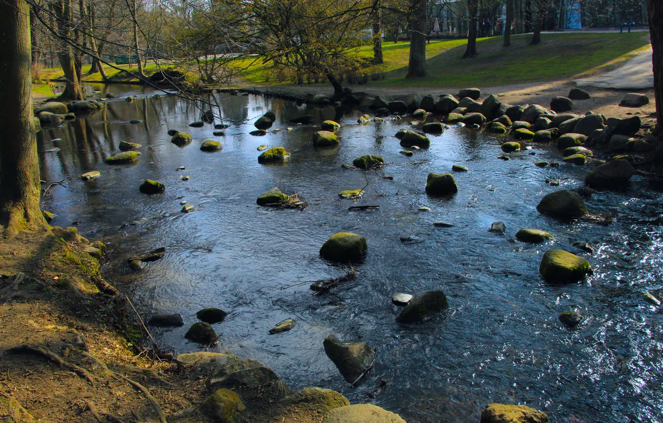 Photo wallpaper river, water, park, stones