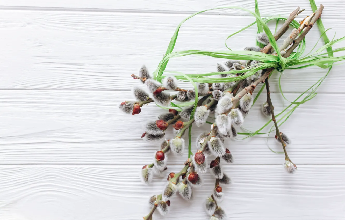 Photo wallpaper sprig, bouquet, spring, tape, buds, Verba