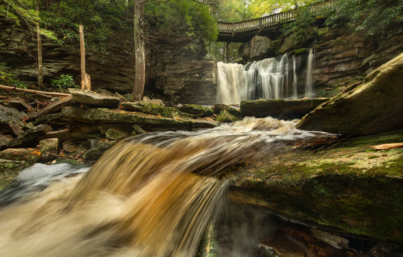Photo wallpaper bridge, river, stones, waterfall, State Park, West Virginia, West Virginia, Elakala Falls