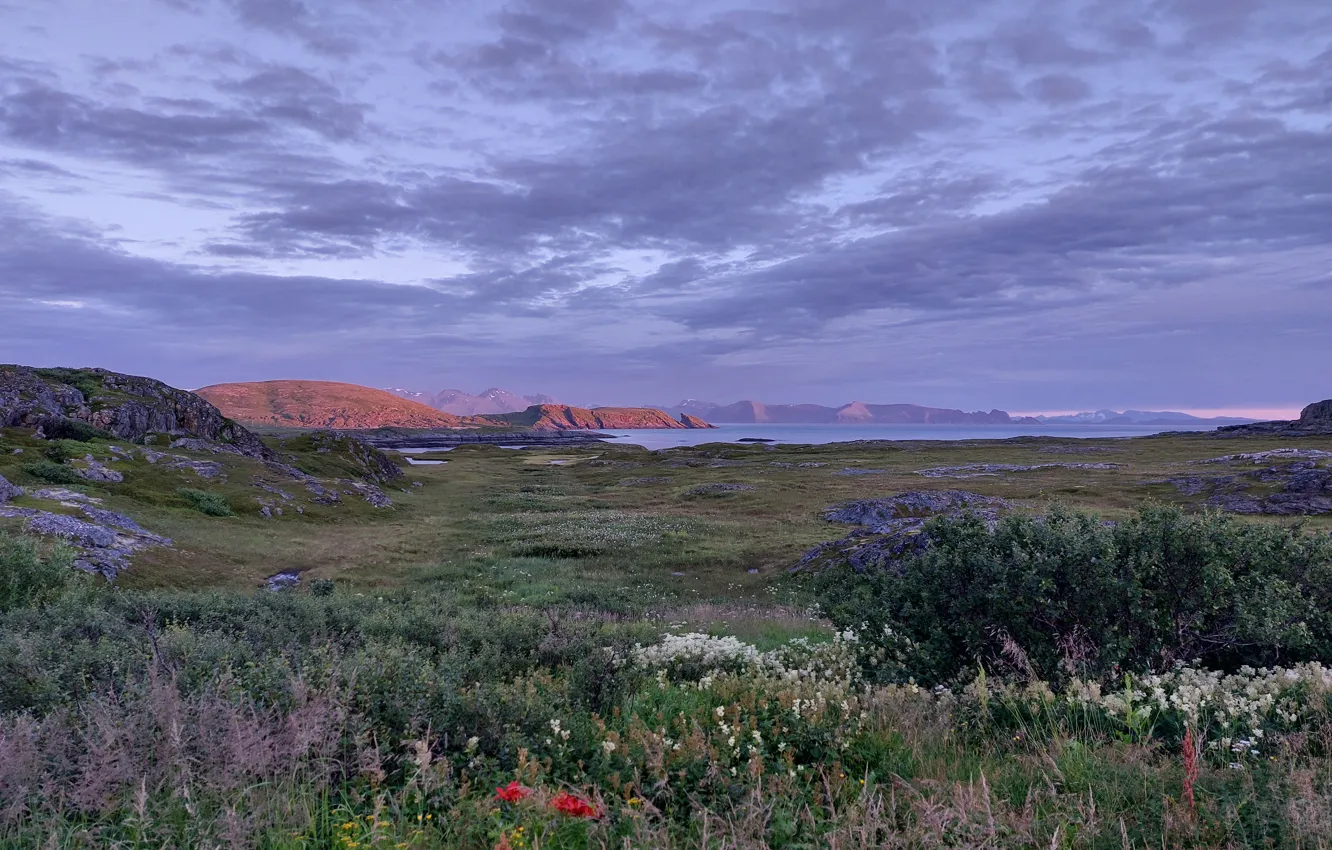 Photo wallpaper sea, flowers, mountains, obloka, Norvegica
