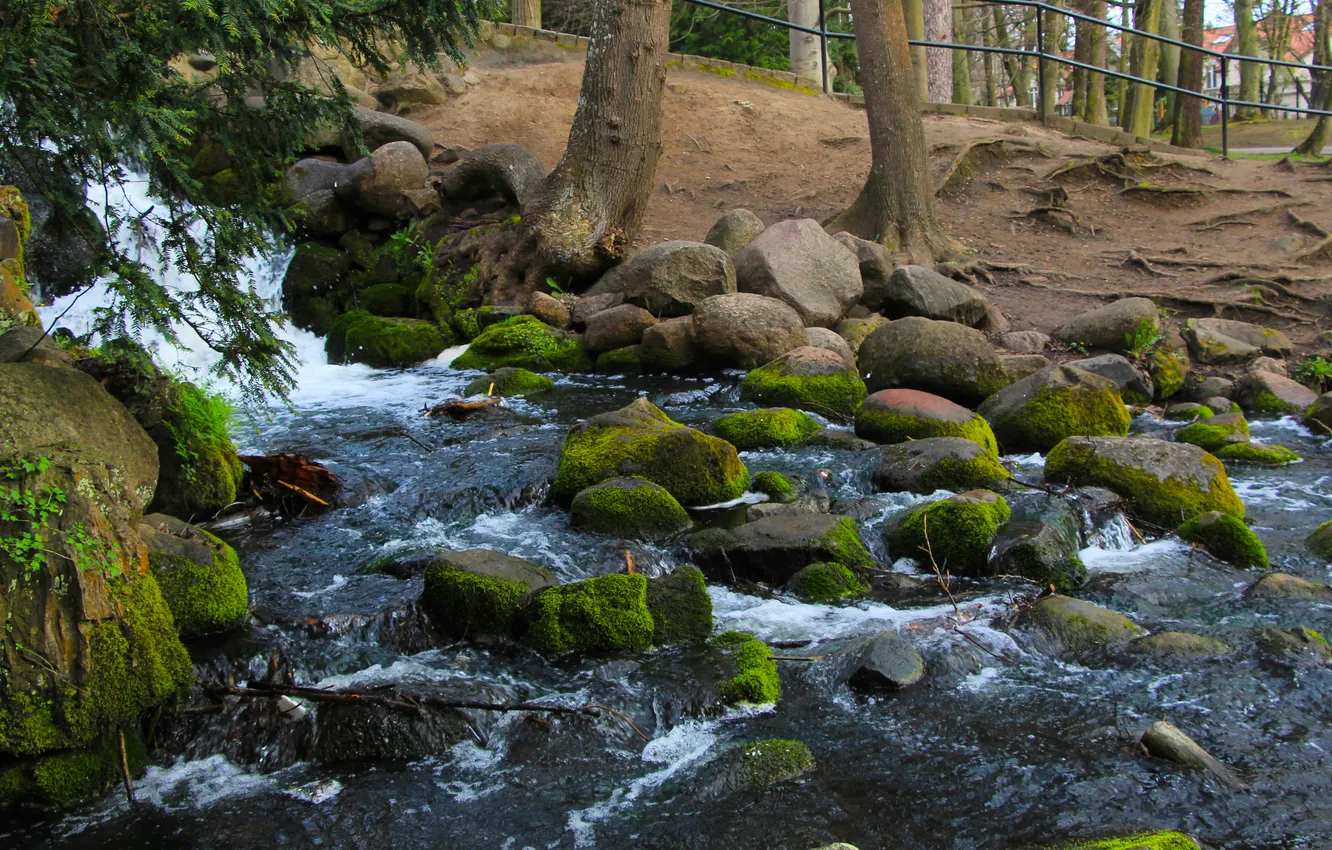 Photo wallpaper river, water, park, stones