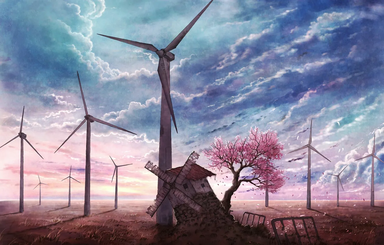 Photo wallpaper the sky, blue, petals, Sakura, mill, blooming, abandoned, Sakura tree