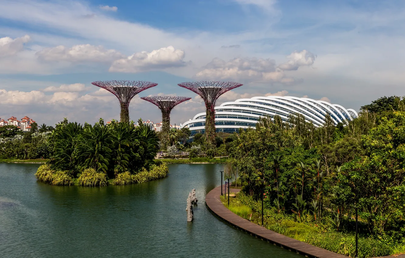Photo wallpaper greens, trees, landscape, design, pond, Park, palm trees, Singapore