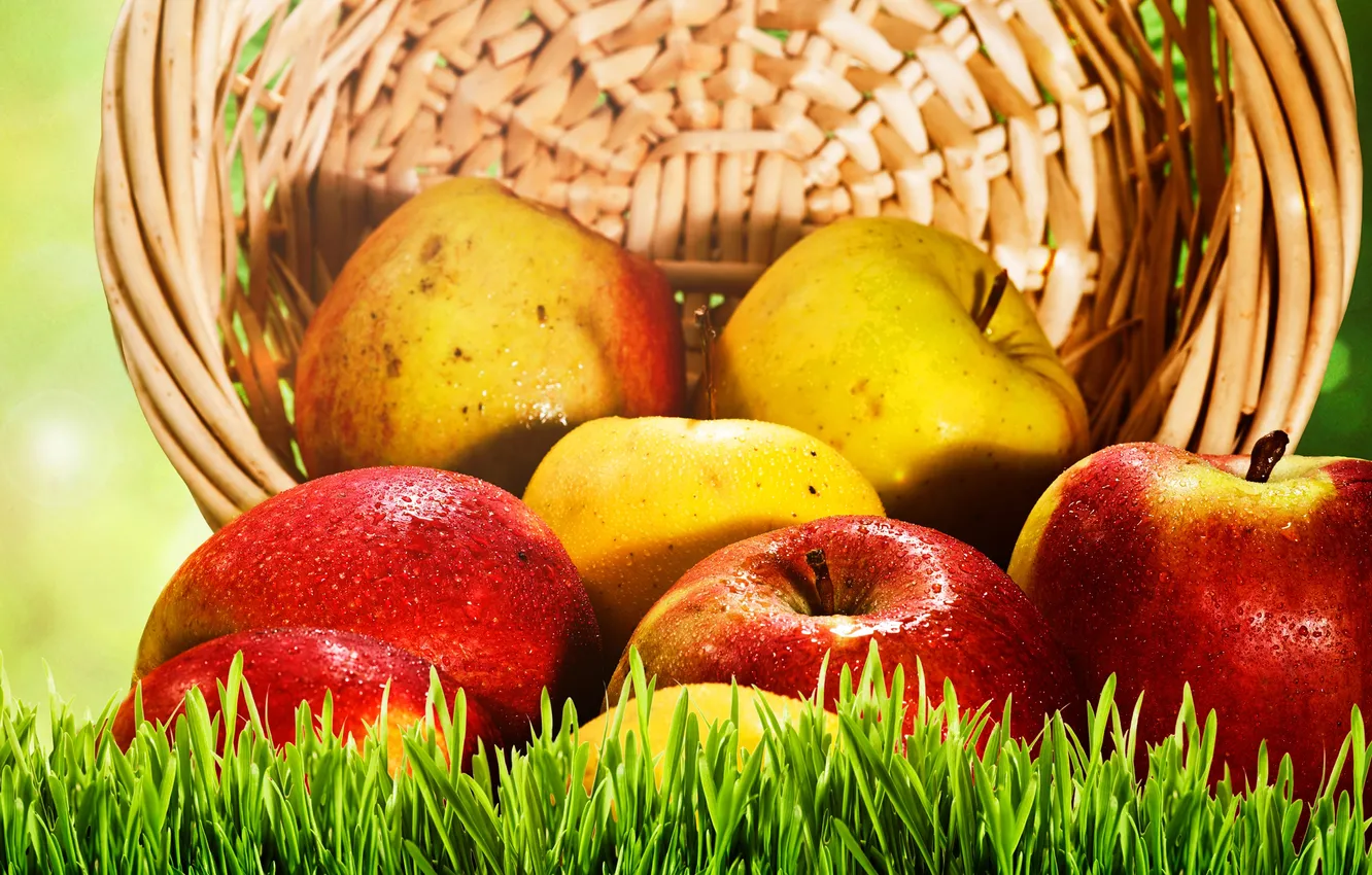 Photo wallpaper grass, basket, apples, yellow, red, fruit