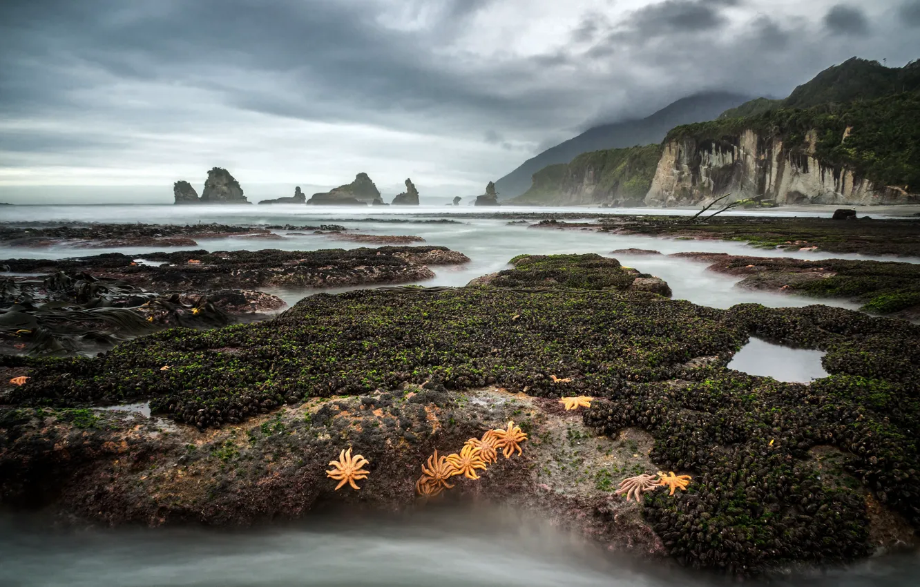 Photo wallpaper New Zealand, West Coast, Barrytown