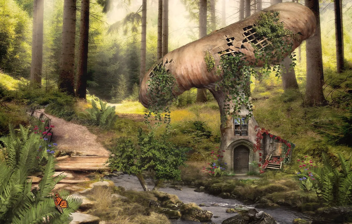 Photo wallpaper forest, stream, butterfly, mushroom, frog, fantasy, house, path