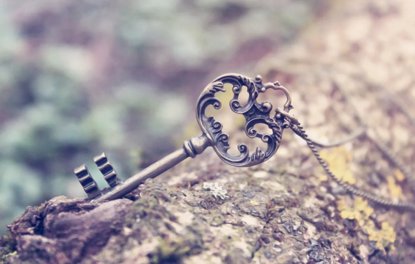 Photo wallpaper macro, trees, key