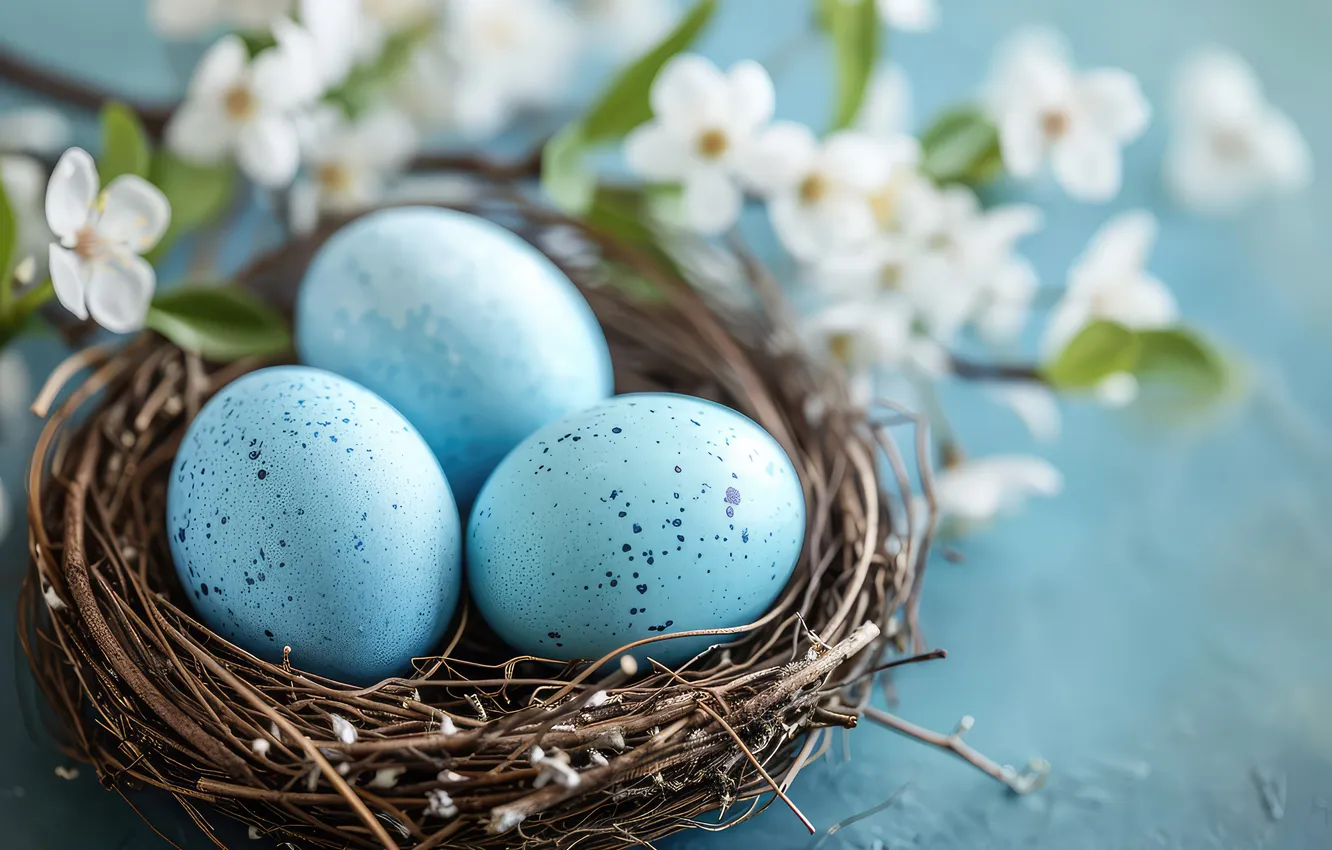 Photo wallpaper flowers, eggs, spring, Easter, happy, blue, flowers, spring