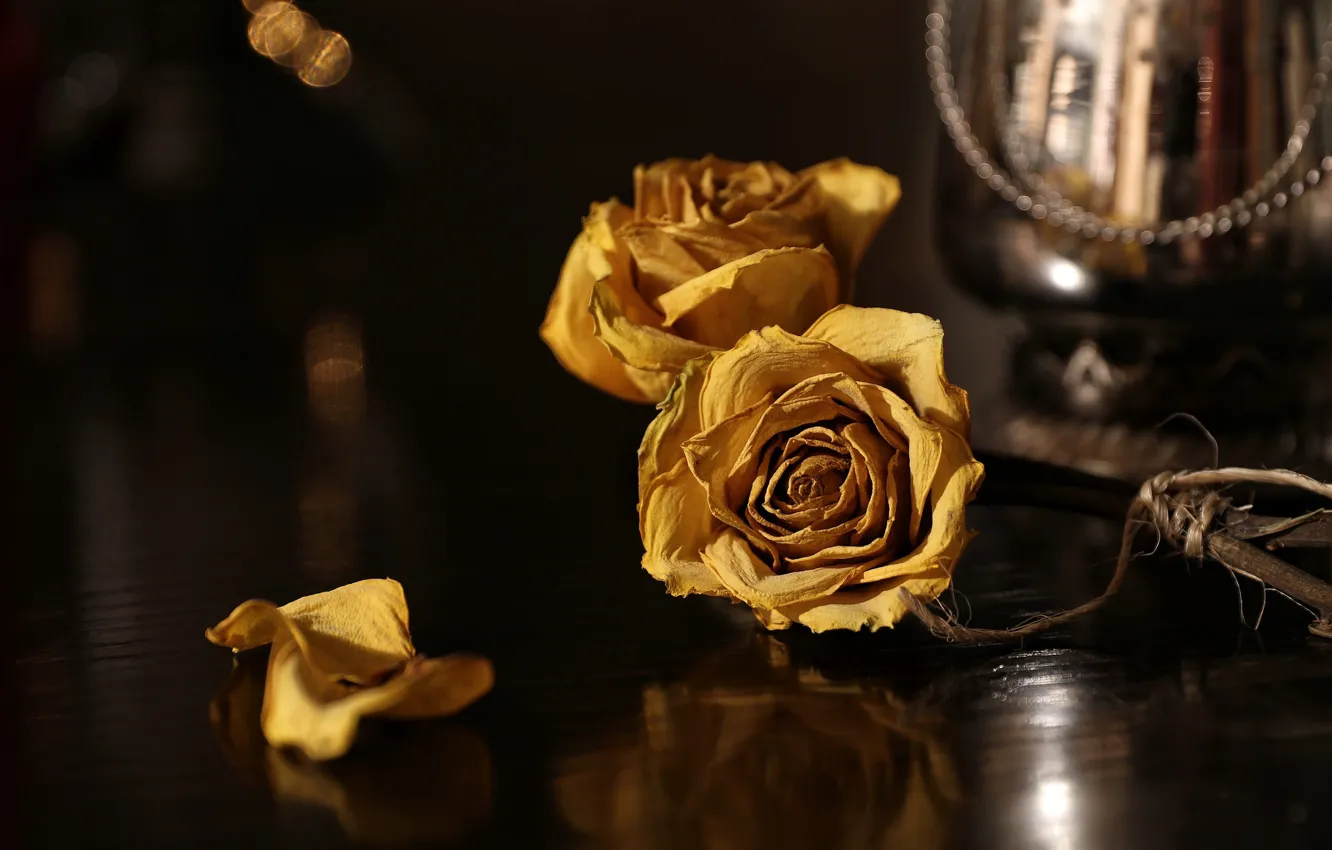 Photo wallpaper flowers, background, roses
