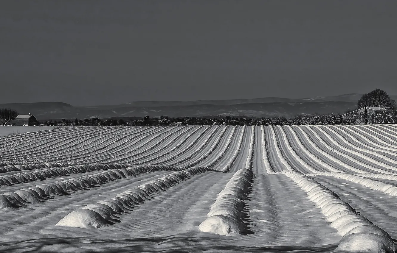 Photo wallpaper winter, field, snow, France, home, Provence-Alpes-Cote d'azur, Valensole