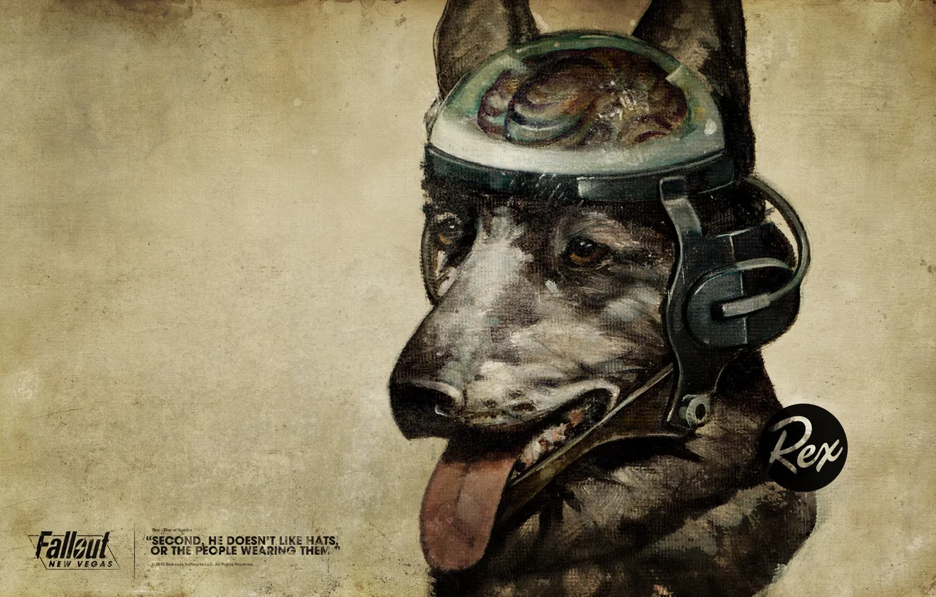 Photo wallpaper brain, Fallout, New Vegas, dog, Rex