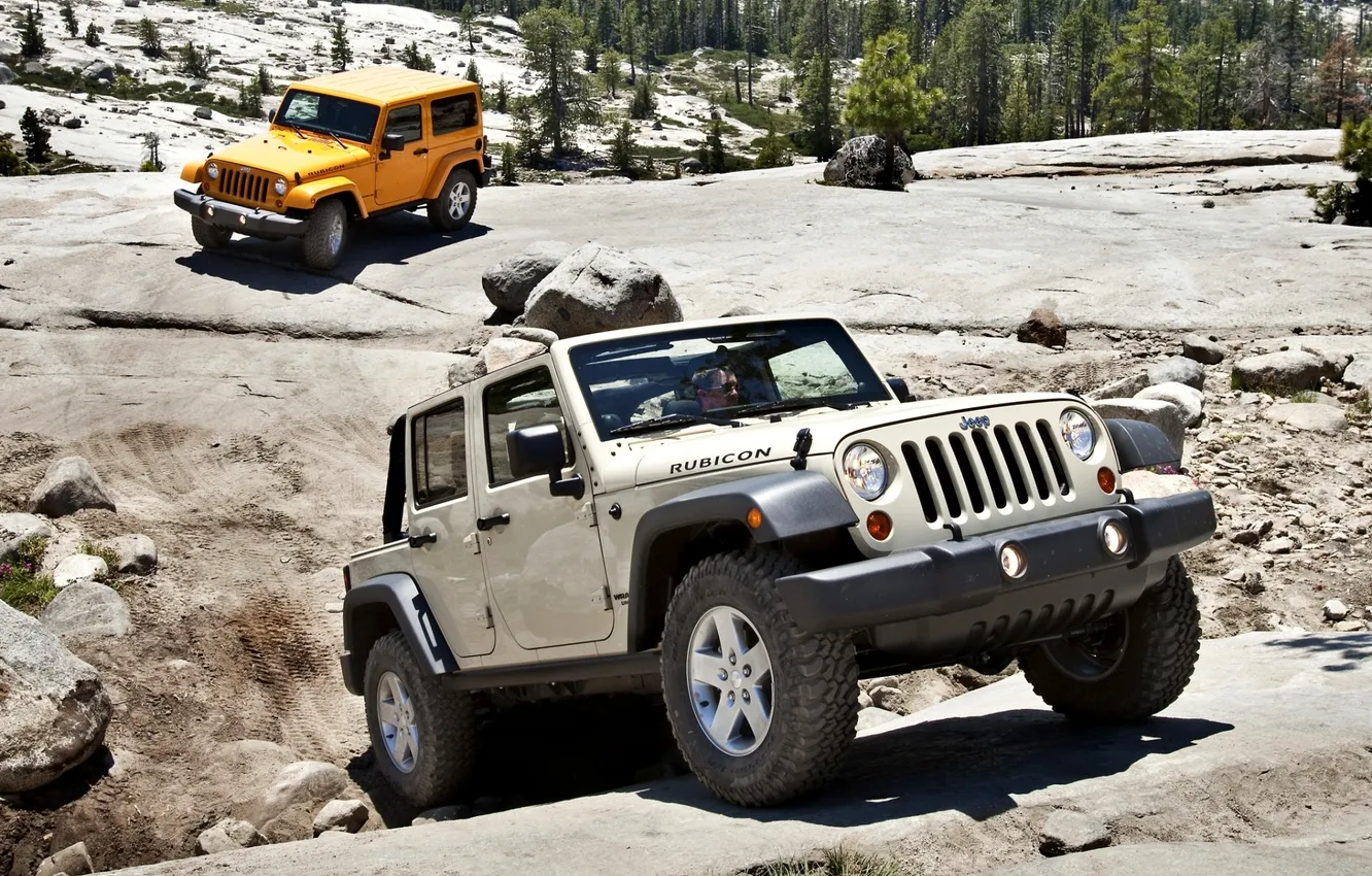 Photo wallpaper forest, stones, rocks, jeep, SUV, the front, Wrangler, Ringler