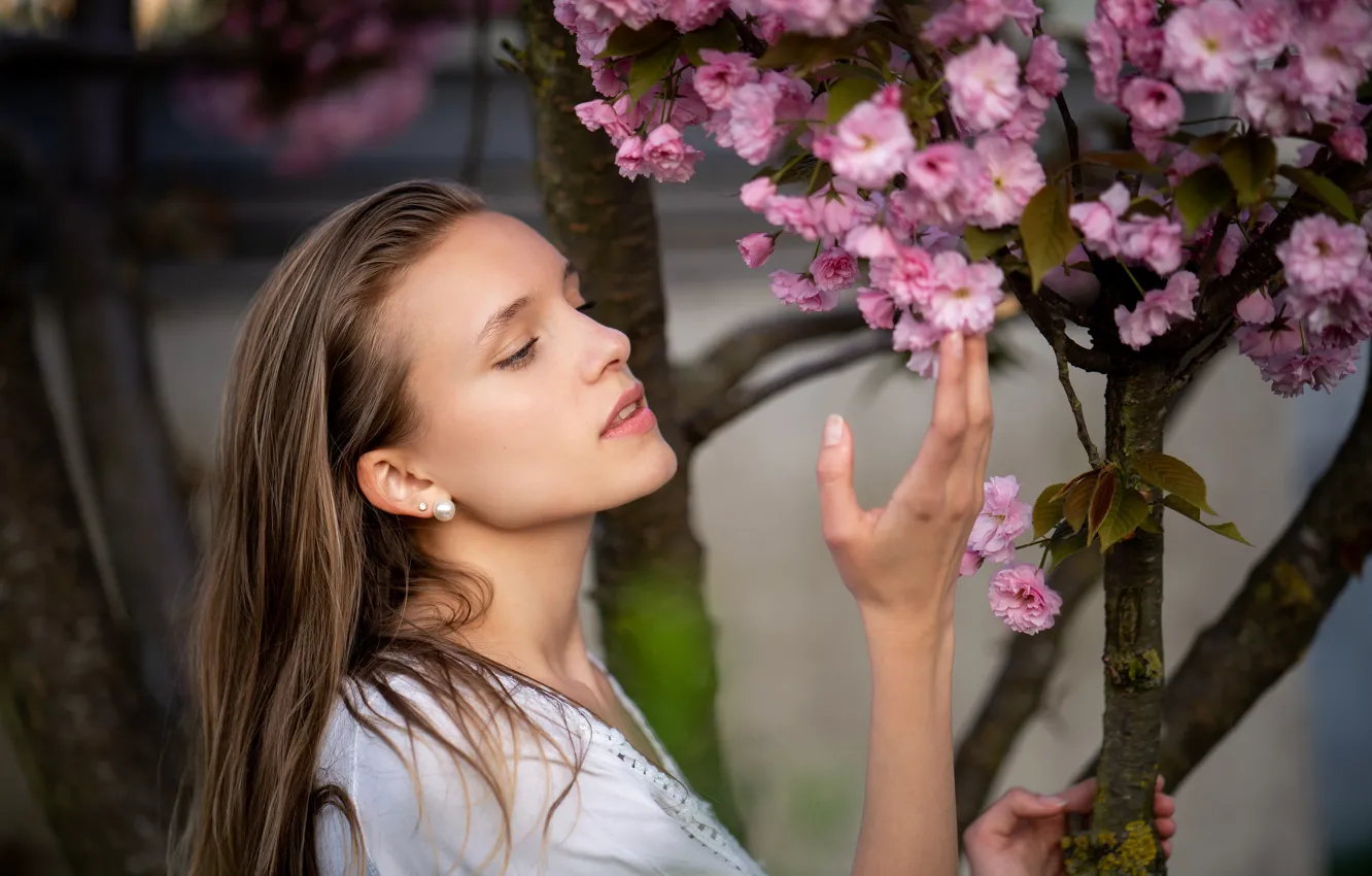 Photo wallpaper girl, trees, nature, face, Sakura, flowering