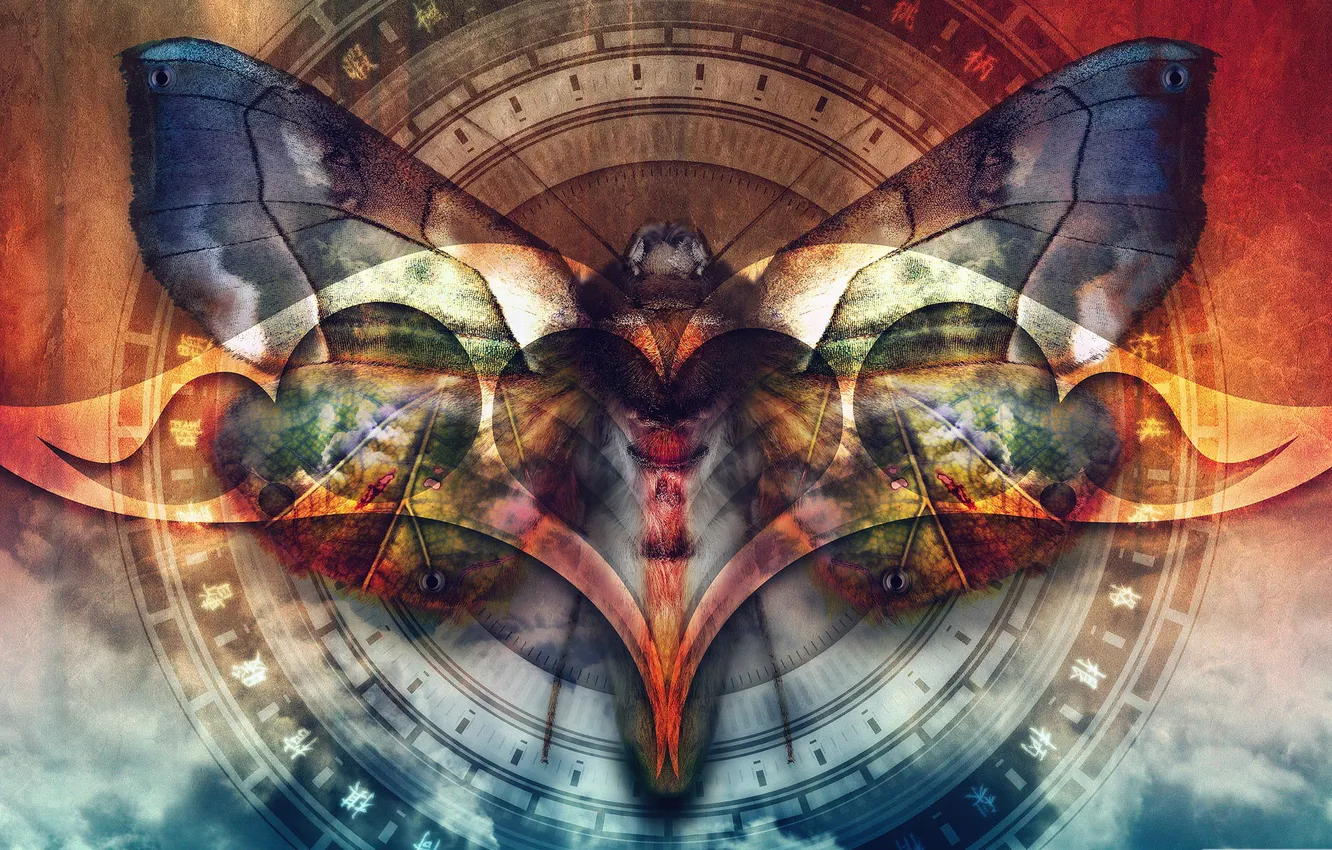 Photo wallpaper butterfly, color abstract, digital art