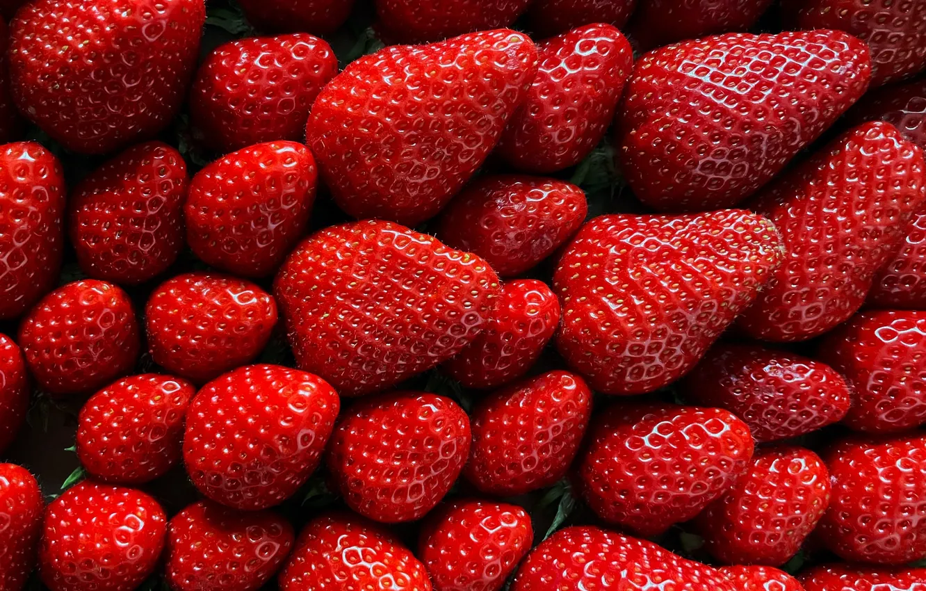 Photo wallpaper berries, harvest, strawberry, a lot, ripe