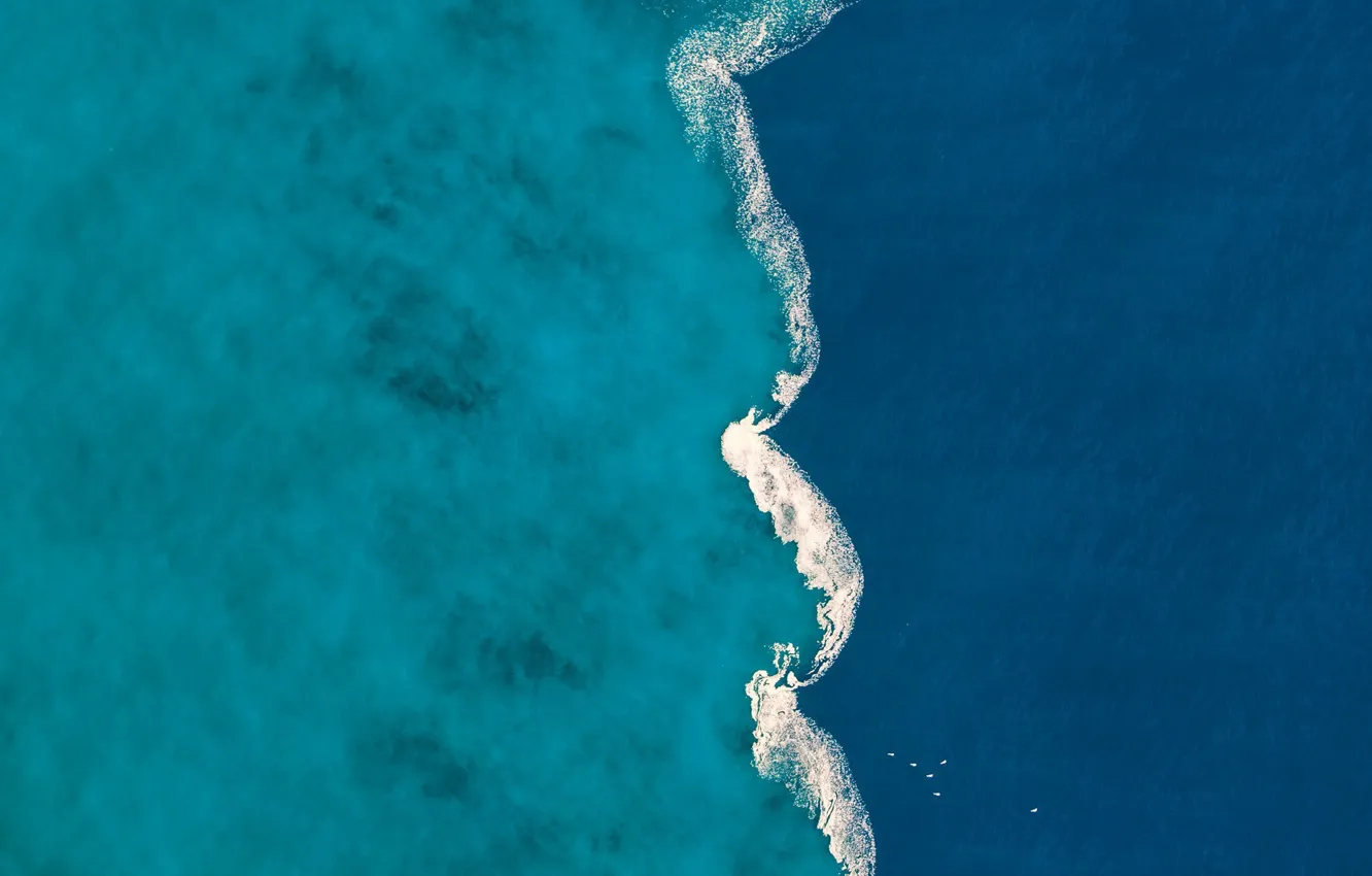 Photo wallpaper Spain, the river Ter, L'estartit, the mixing of fresh and salt water, GOLA del Ter