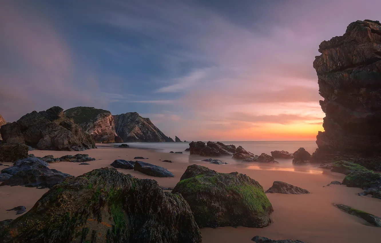 Photo wallpaper sea, beach, algae, sunset, stones, rocks, shore