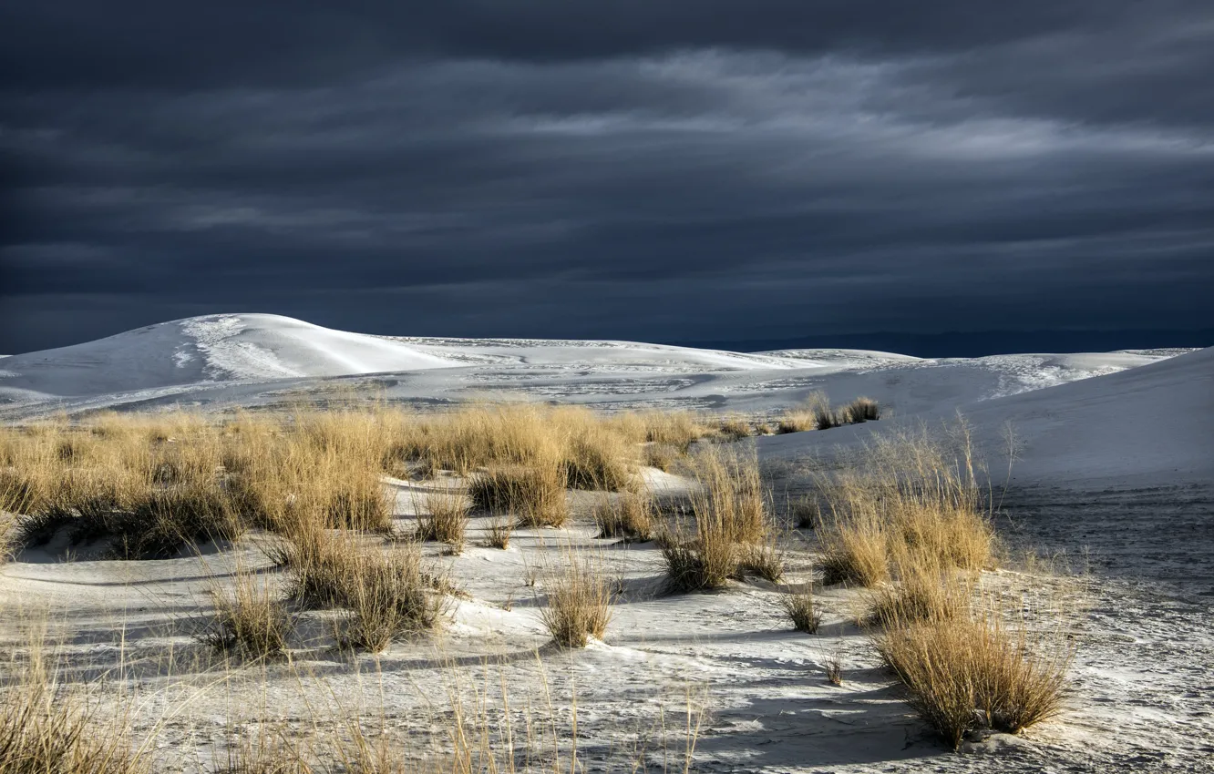 Photo wallpaper nature, desert, grass