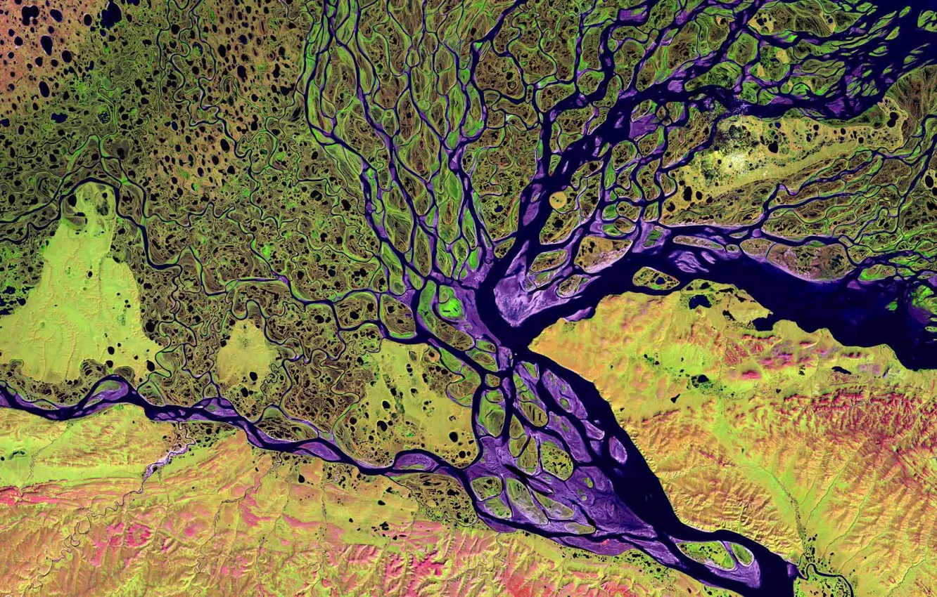 Photo wallpaper river, Delta, Lena, Siberia