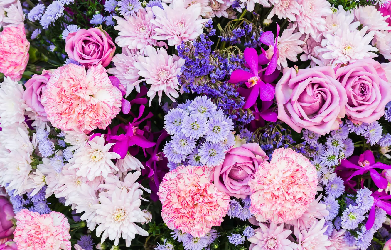 Photo wallpaper flowers, roses, clove, asters