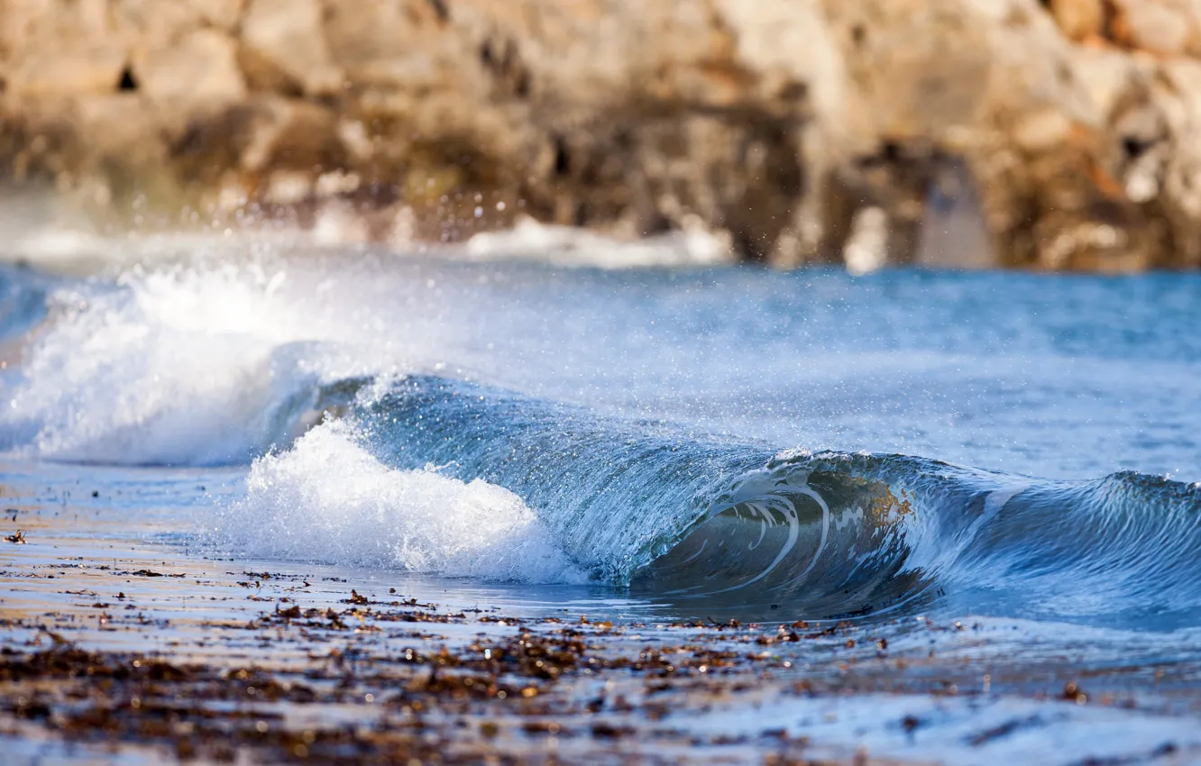 Photo wallpaper beach, wave, sunlight