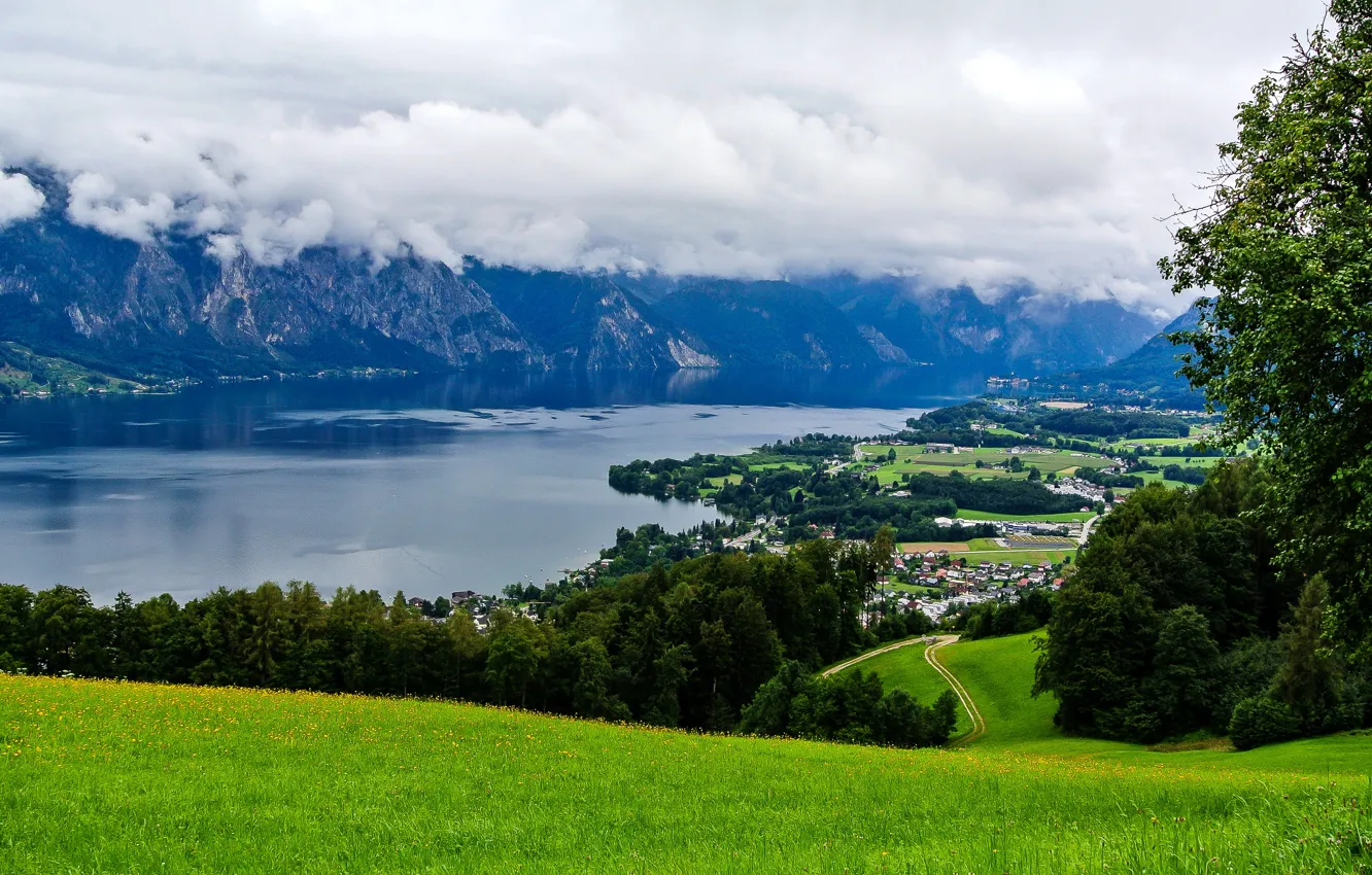 Photo wallpaper greens, field, grass, clouds, trees, mountains, river, shore